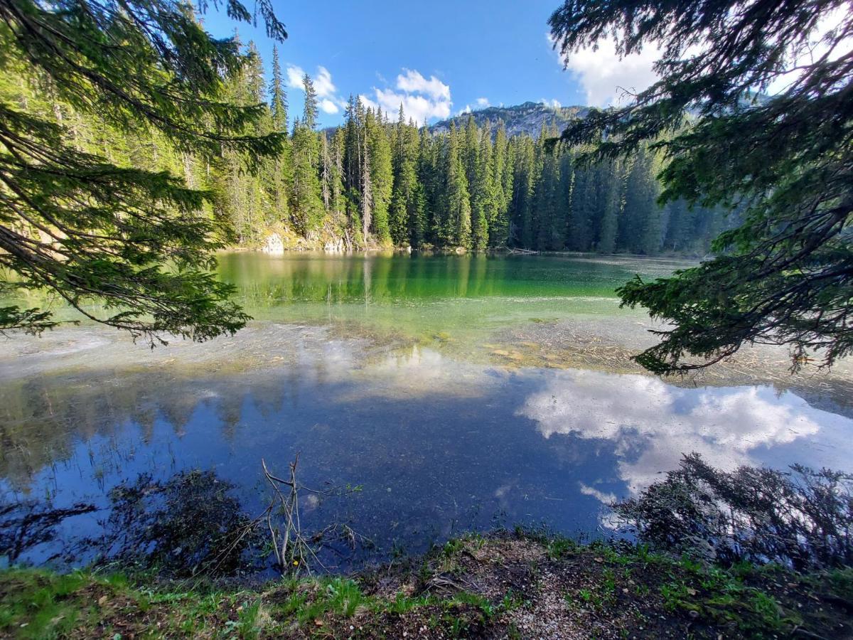 Villa Mountain House Ami Žabljak Esterno foto